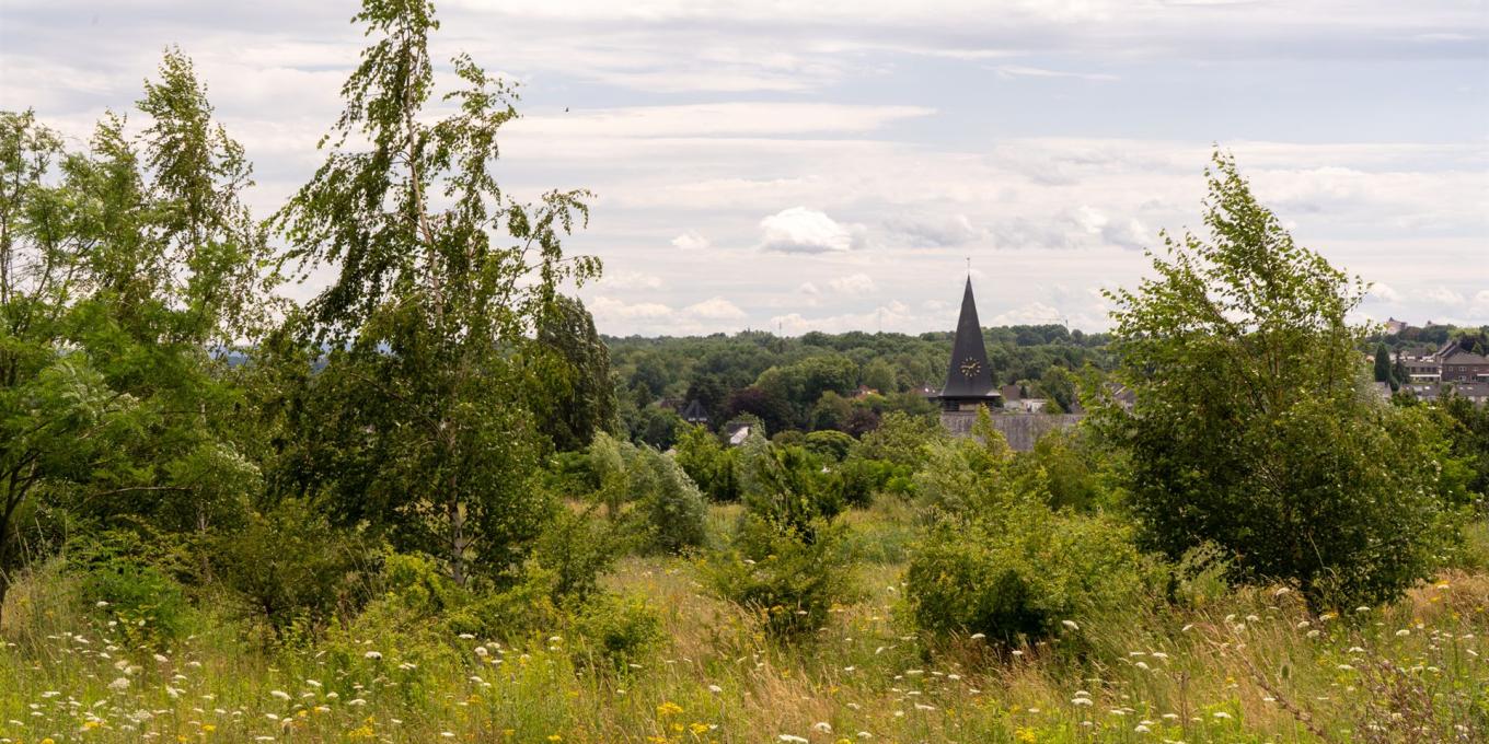 eygelshoven natuurbegraafplaats 011 2026